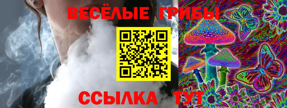 Псилоцибиновые грибы MAGIC MUSHROOMS  Вход с VPN  купить закладку  Курск 