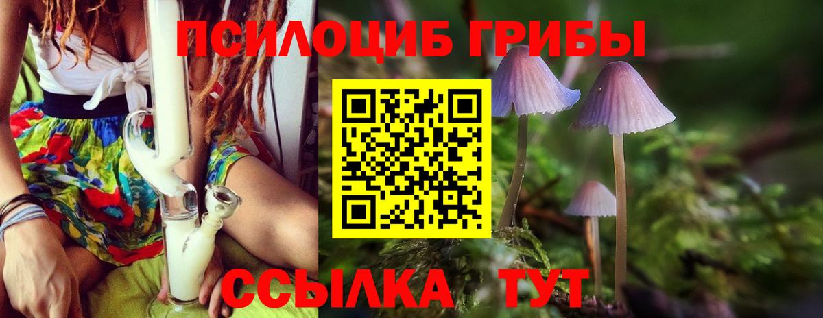 Псилоцибиновые грибы MAGIC MUSHROOMS Курск